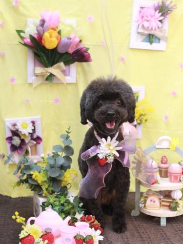 20230309もこちゃん